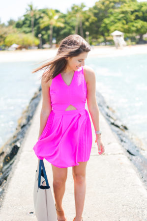 Dress Up Buttercup | Houston Fashion Blog - Dede Raad LPD With Coco and Duckie