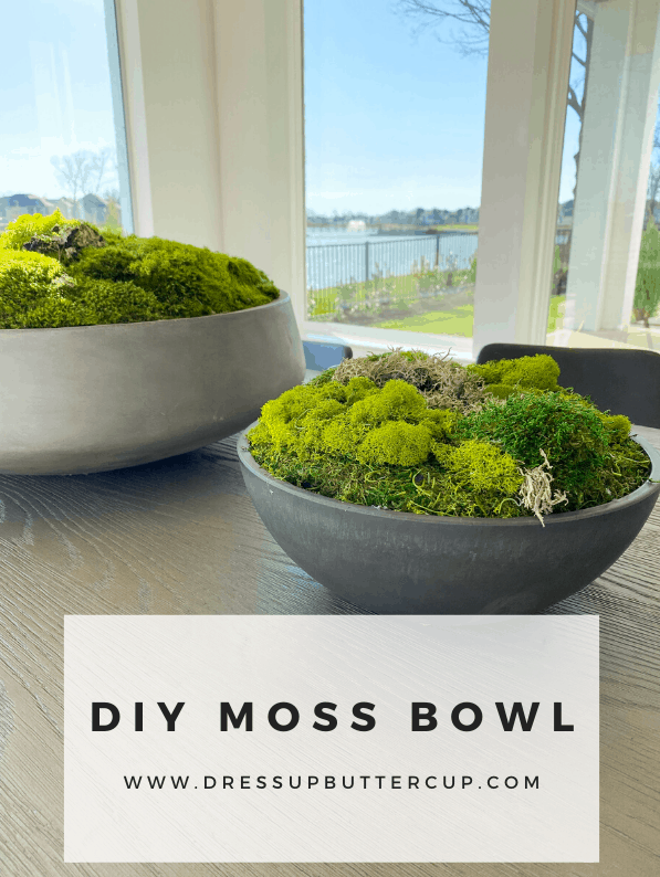Long Moss Bowl