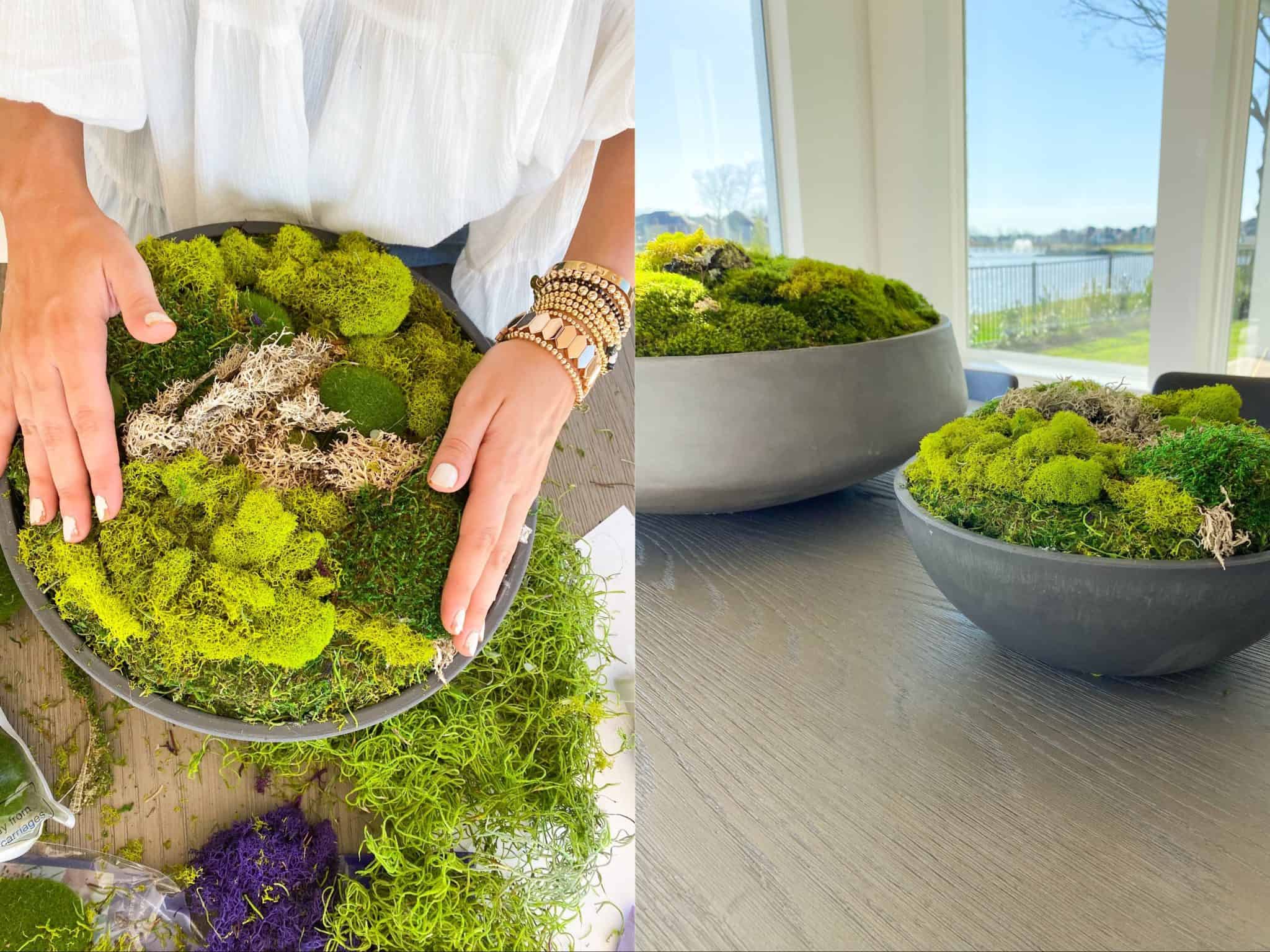 Moss Bowl, Arrangement in Concrete Bowl