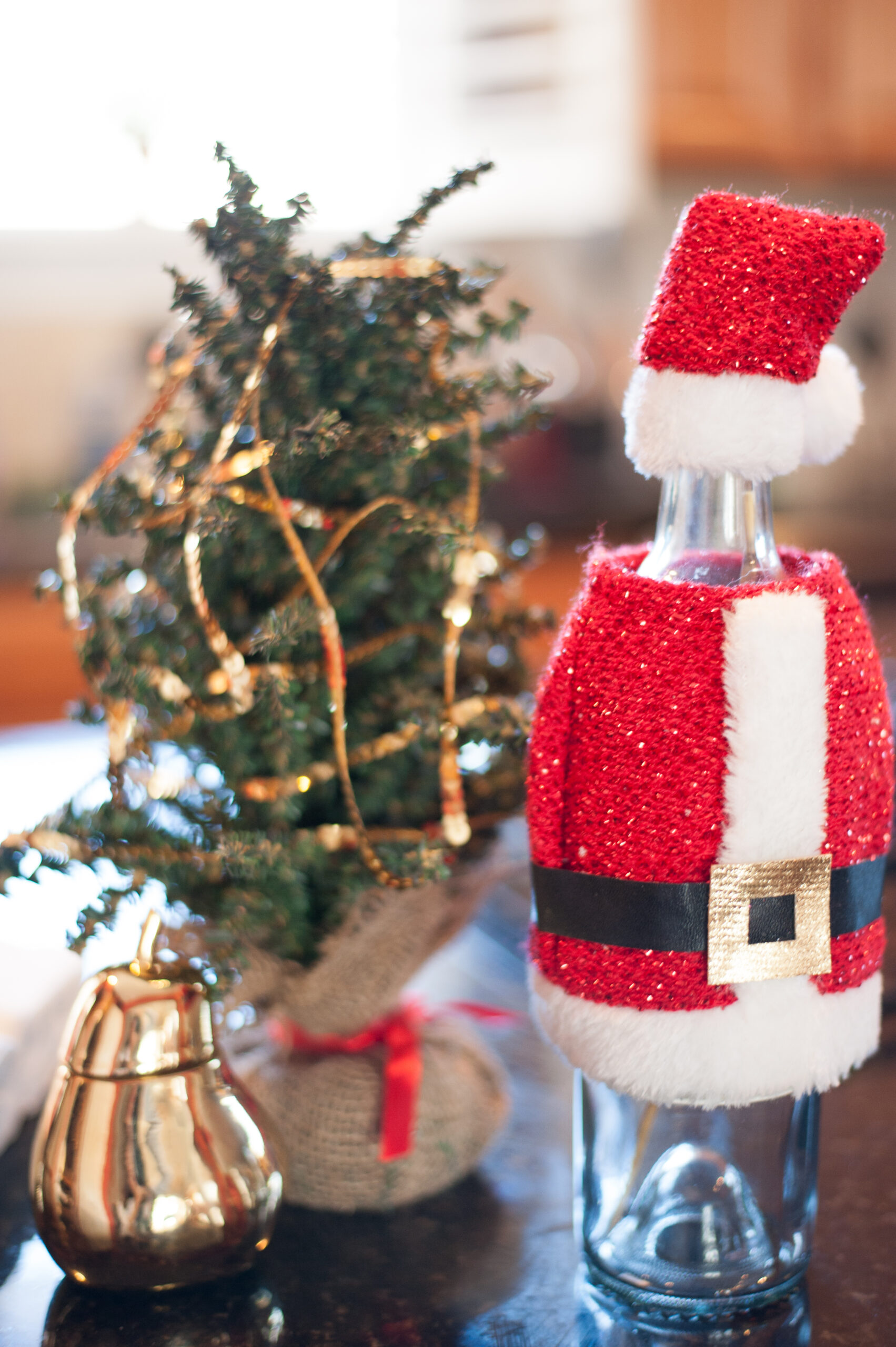 christmas_home_decor_dress_up_buttercup (10 of 13)